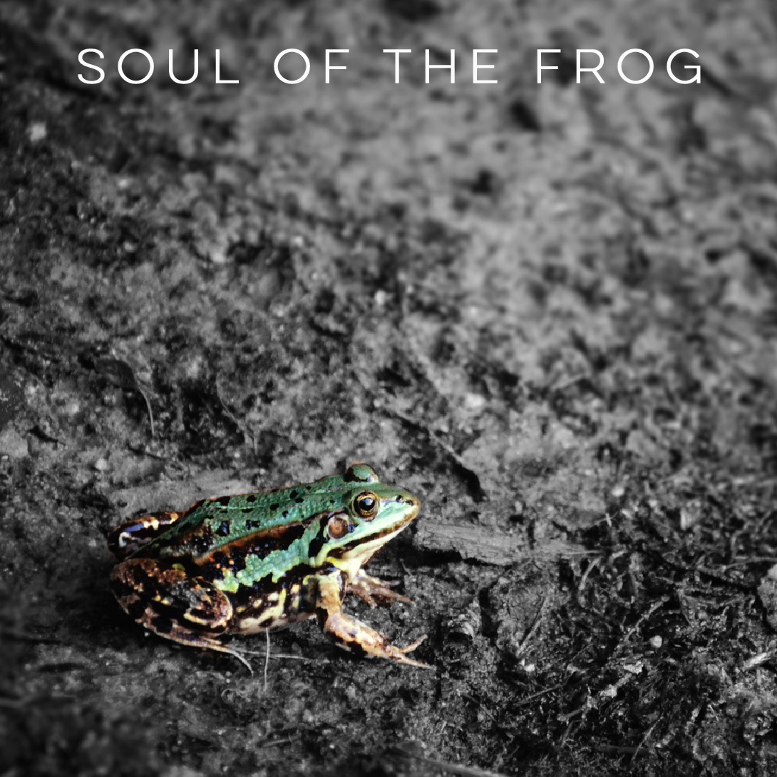 Soul of the Frog Album
